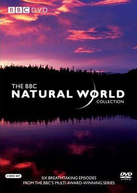 BBC-大自然