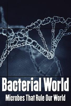 BacterialWorld