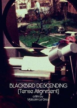BlackbirdDescending