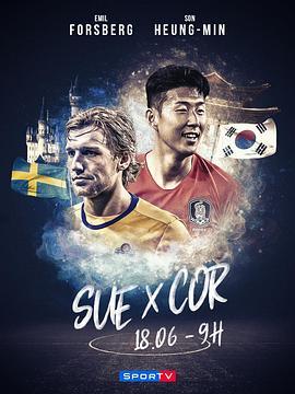 2018世界杯瑞典VS韩国