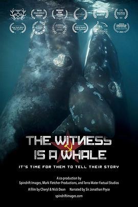 鯨魚滅据故事