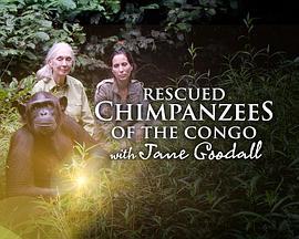 RescuedChimpanzeesoftheCongowithJaneGoodallSeason1