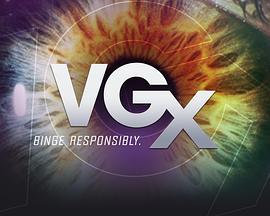 2013年VGX游戏大奖