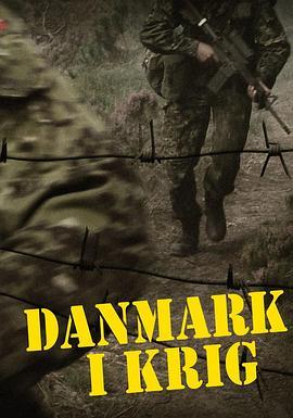 丹麦的战争
