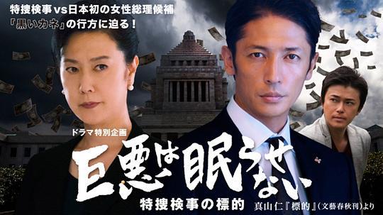 杨门女将之四郎探母岳翎