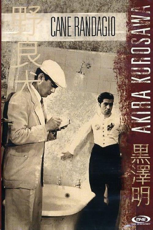 联邦调查局故事1959 电影在线观看