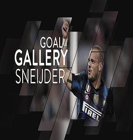 WesleySneijder:AllOfHis22InterGoals