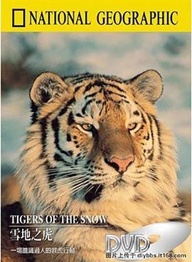 雪地之虎