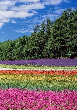 北海道：众神的花园
