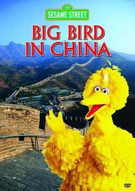 大鸟在中国