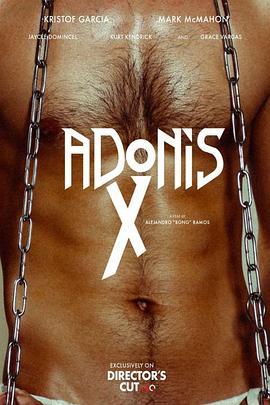 AdonisX