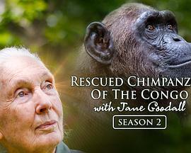 RescuedChimpanzeesoftheCongowithJaneGoodallSeason2
