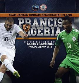 2014世界杯1/8决赛法国VS尼日利亚