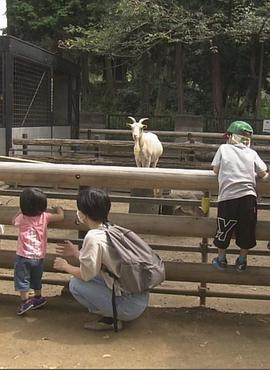 纪实72小时川崎山丘上的动物园