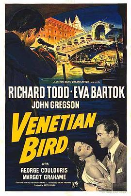 VenetianBird
