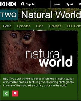 BBC自然世界：狒狒